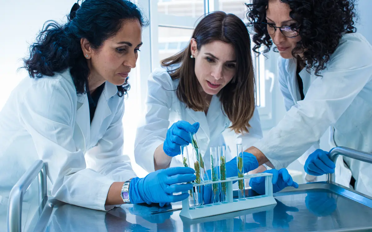 Energy Efficiency and Sustainability in Chemical and Power Plants training course for Professionals