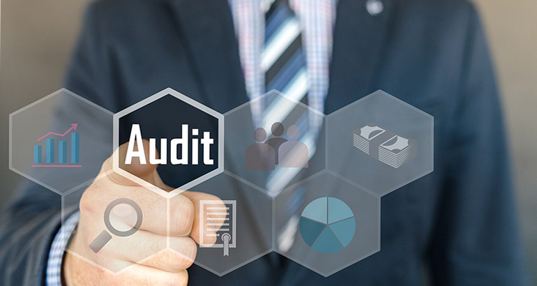 Systems of Verifying the Integrity of Financial Control and Internal Audit