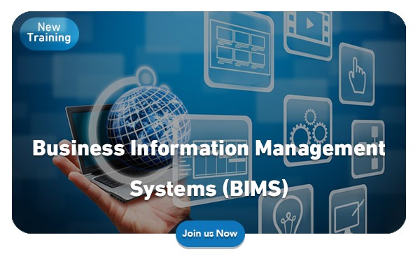 Course in Business Information Management Systems (BIMS)