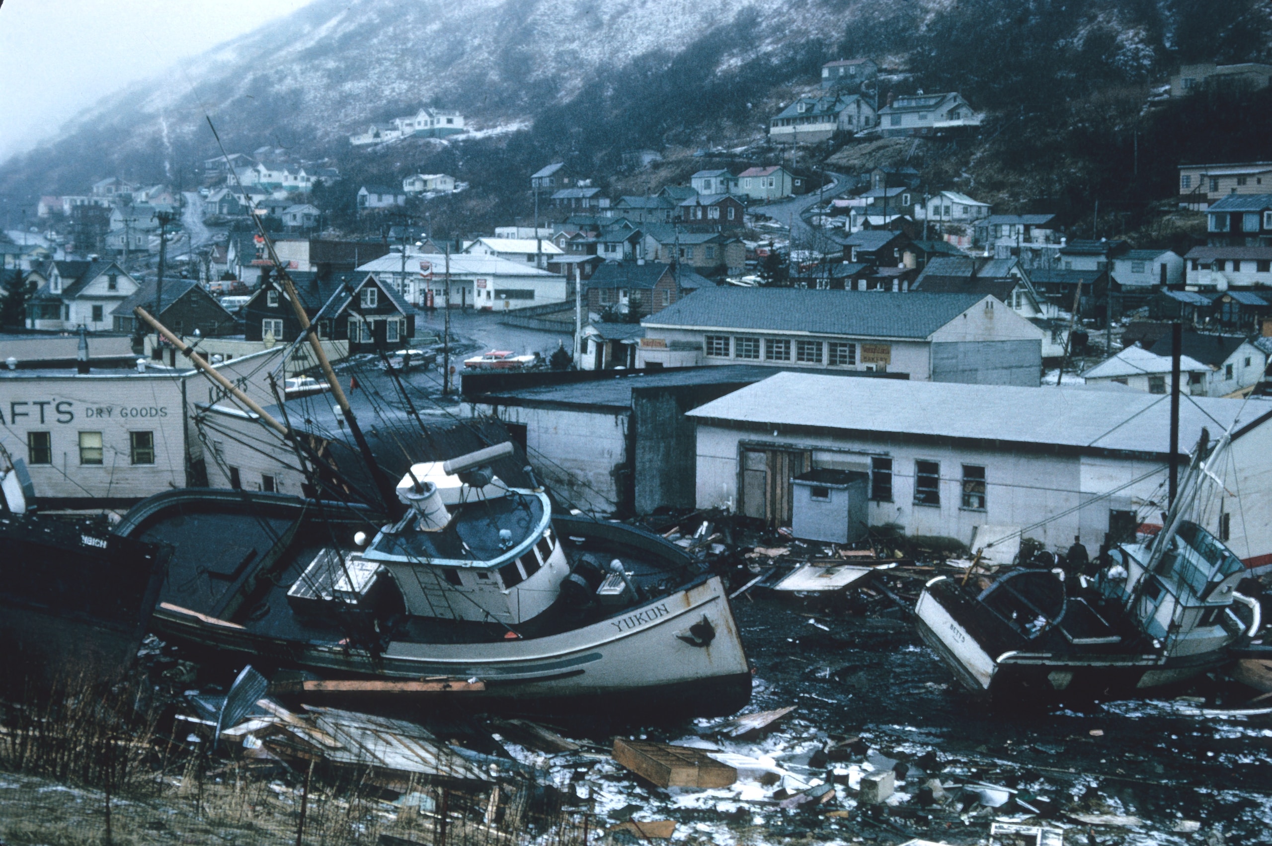 Modern Disaster Management Strategies Course
